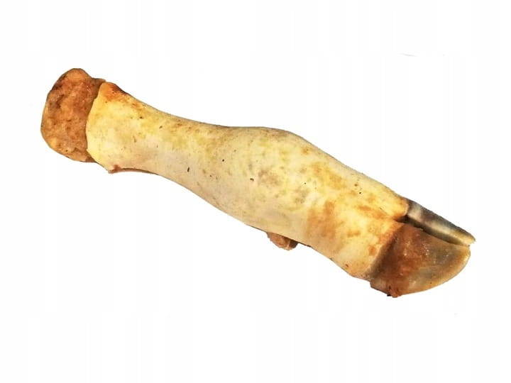 Champion cielęcina