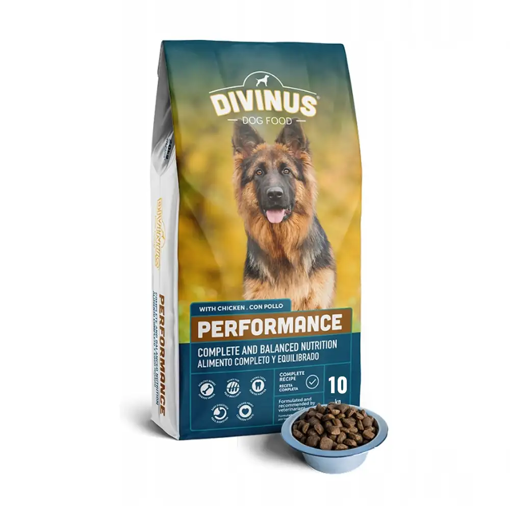 Divinus Performance adult duże rasy 10 kg