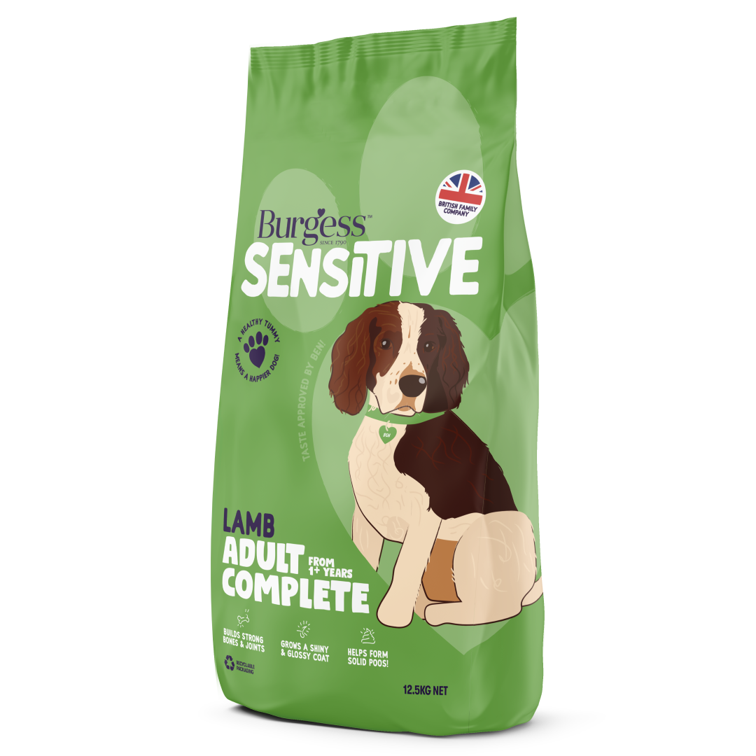 Burgess Sensitive jagnięcina adult 12,5 kg