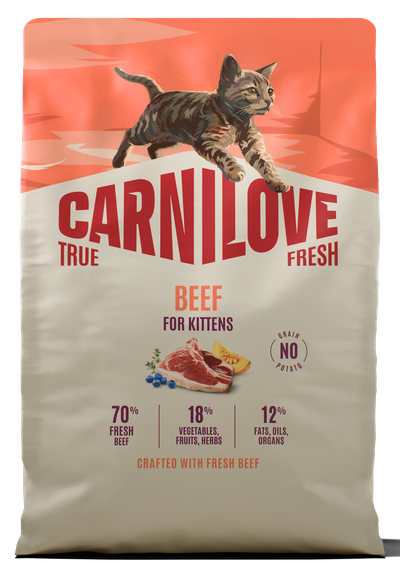 Carnilove True Fresh wołowina kitten 2 kg
