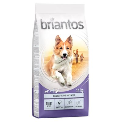 Briantos Adult Active/Light 14 kg × 2