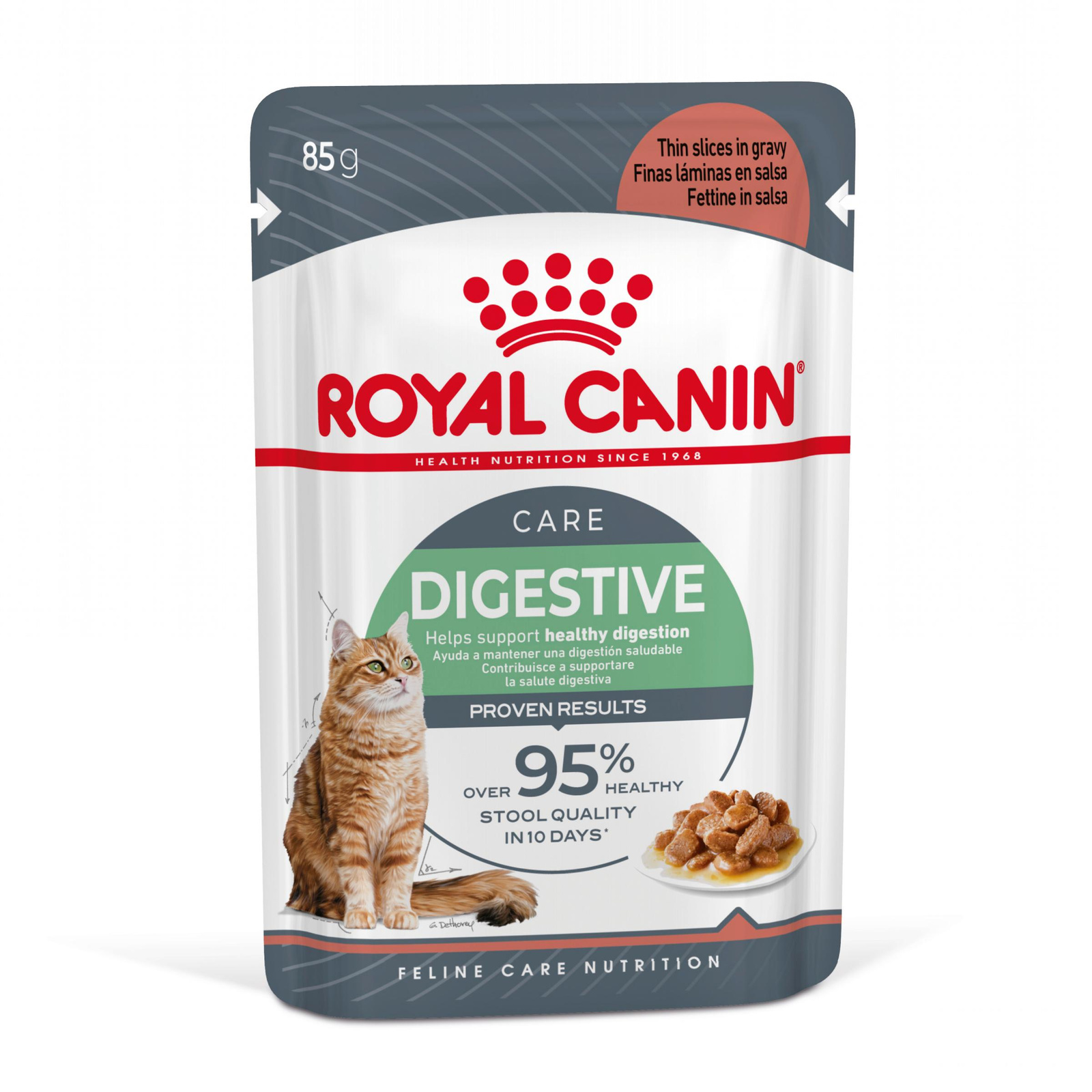Royal Canin Digestive Sensitive gęś w sosie adult 85 g × 12