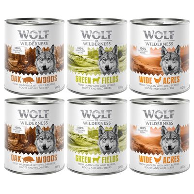 Wolf of Wilderness Monoprotein dzik, jagnięcina, kurczak adult 800 g × 6