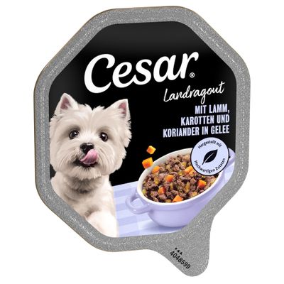 Cesar jagnięcina adult 150 g × 28