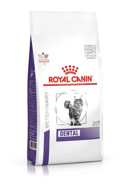 Royal Canin Expert Dental 3 kg