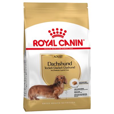 Royal Canin Dachshund adult małe rasy 7,5 kg