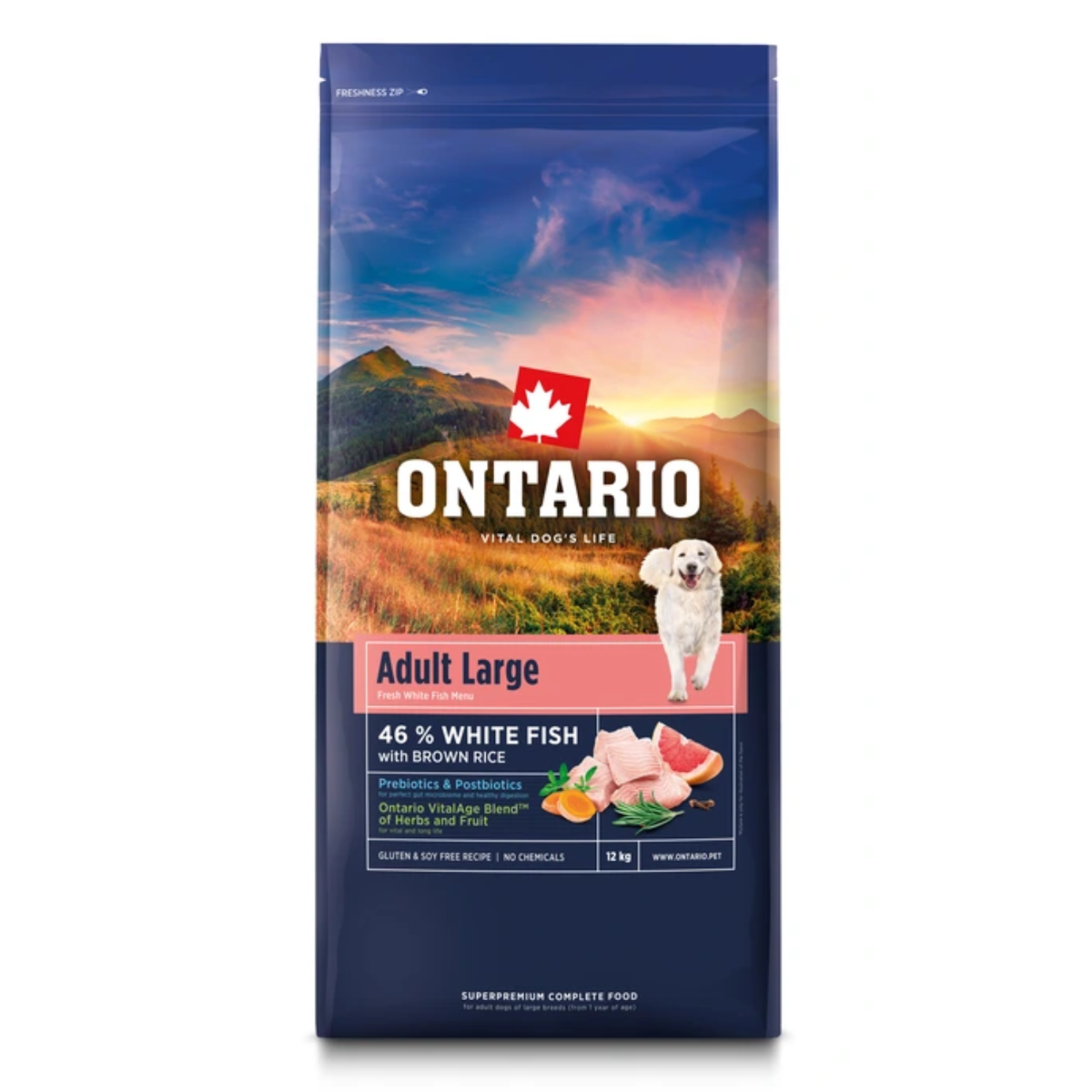 Ontario biała ryba adult duże rasy 12 kg