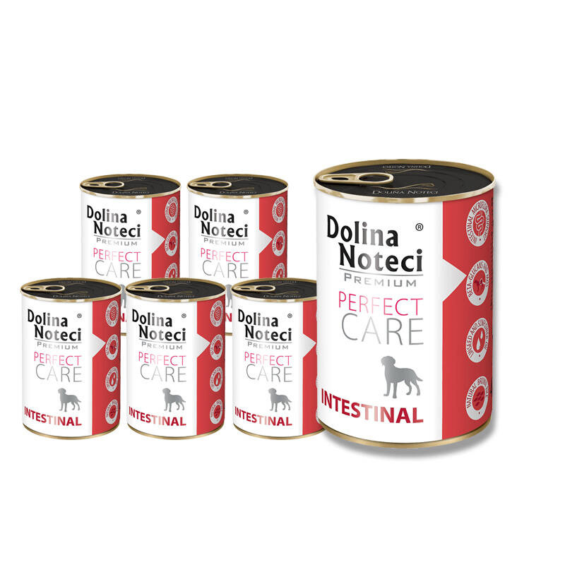 Dolina Noteci Premium Perfect Care Intestinal adult 400 g × 12