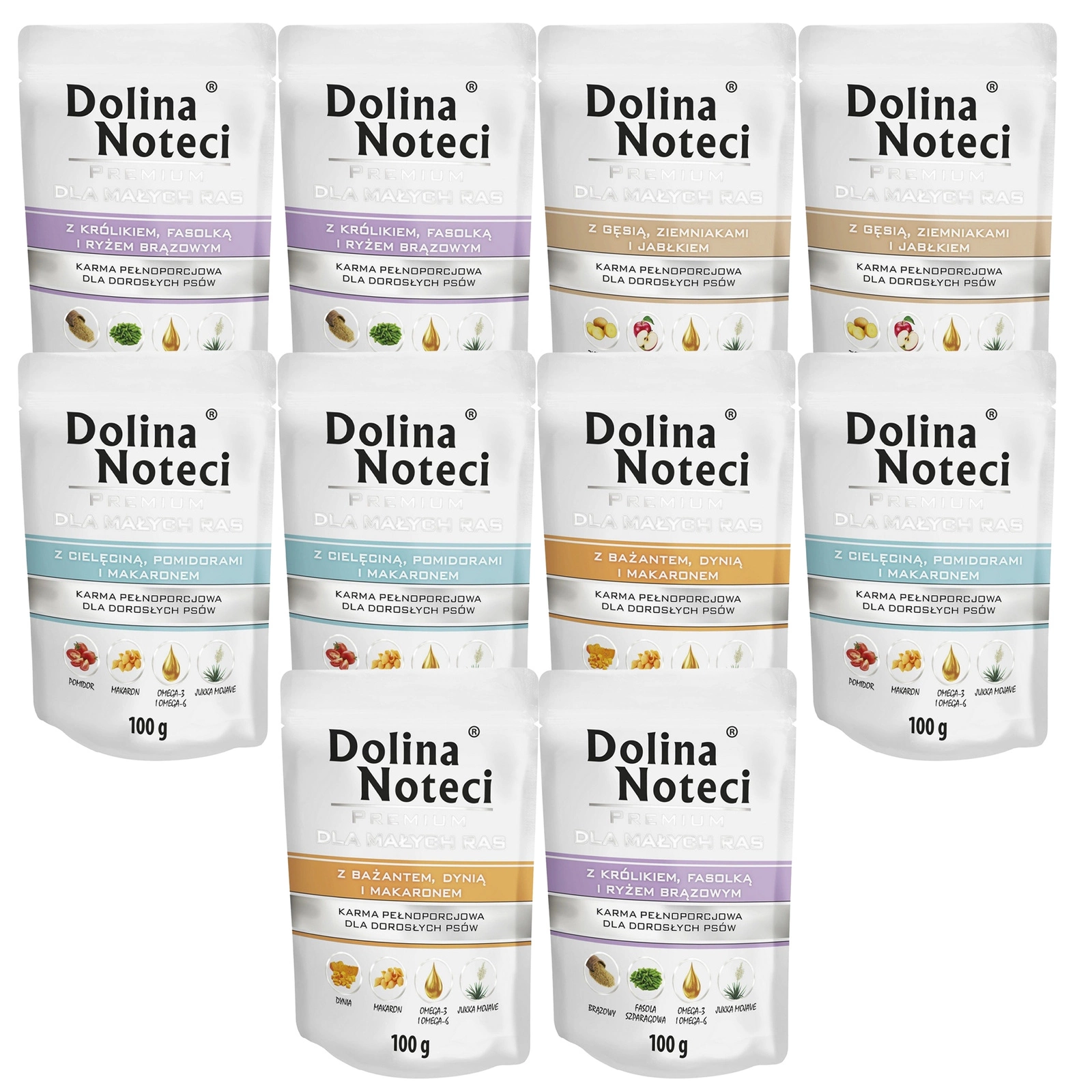 Dolina Noteci Premium małe rasy 100 g × 10