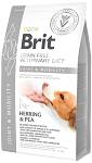 Brit Veterinary Diet Joint & Mobility śledź 2 kg