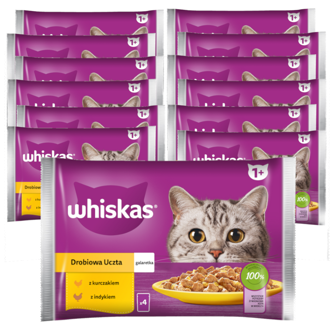 Whiskas mix smaków w galaretce adult 340 g × 13