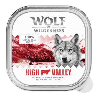 Wolf of Wilderness Monoprotein wołowina adult 300 g × 24