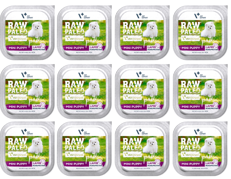 VetExpert Raw Paleo jagnięcina junior małe rasy 150 g × 12