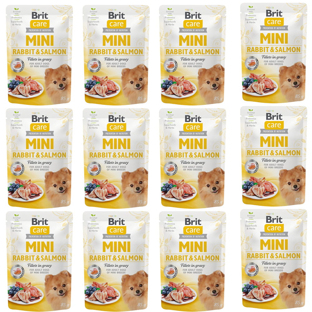 Brit Care królik, łosoś adult małe rasy 85 g × 12