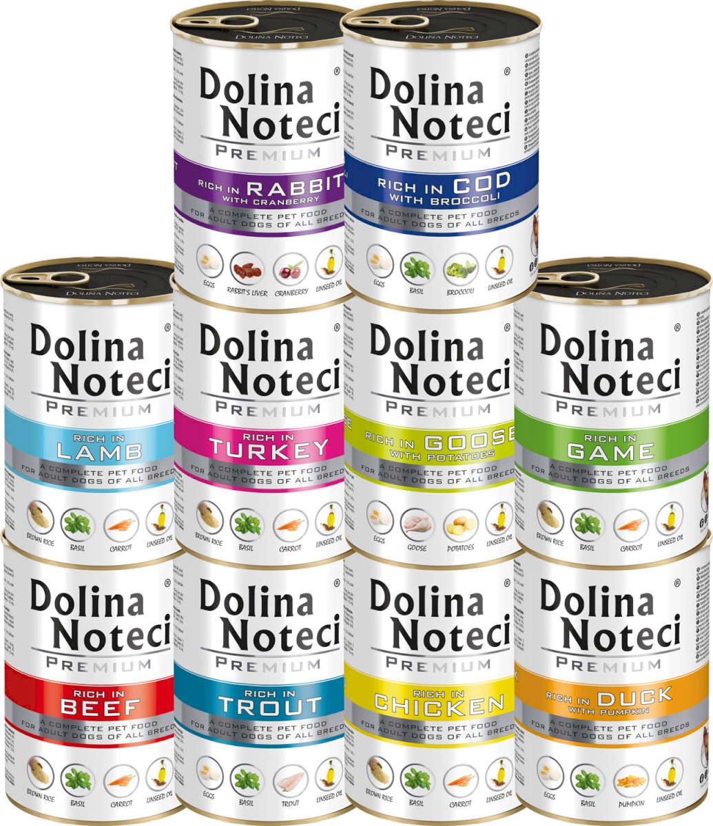 Dolina Noteci Premium mix smaków 400 g × 10