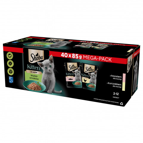 Sheba Nature's Collection mix smaków w galaretce kitten 85 g × 40