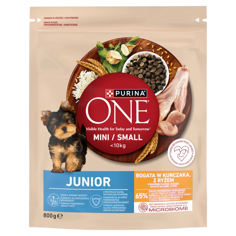 Purina ONE kurczak junior małe rasy 800 g