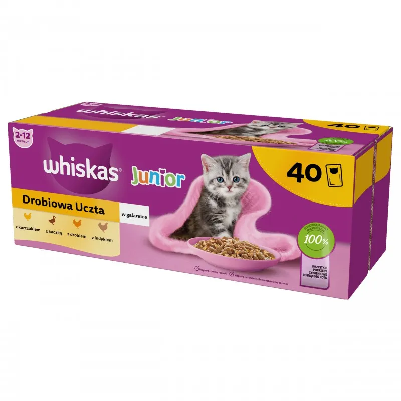 Whiskas Junior mix smaków w galaretce kitten 85 g × 40