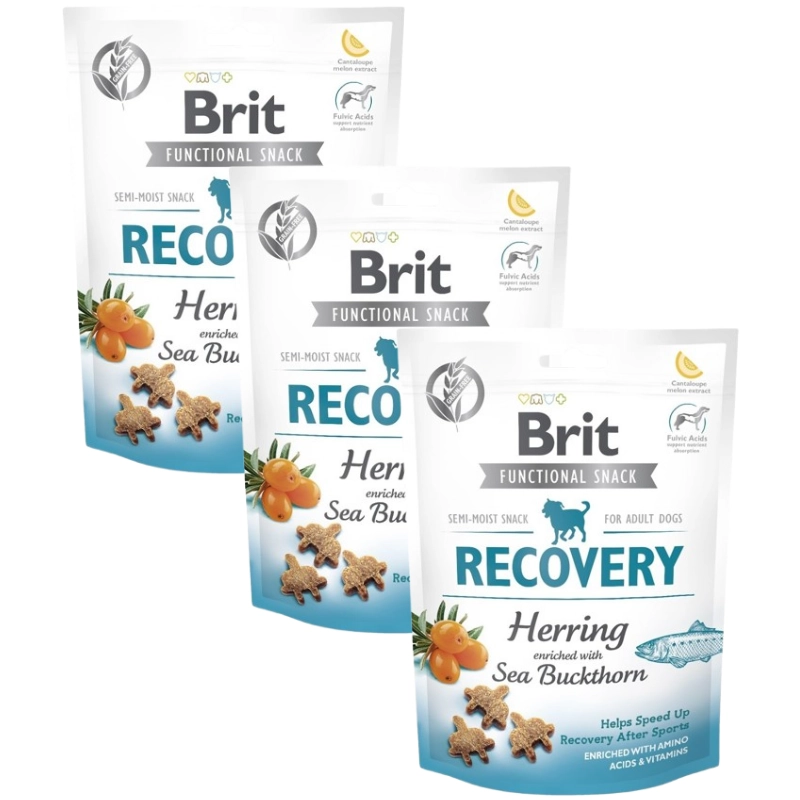 Brit Care śledź 150 g × 3