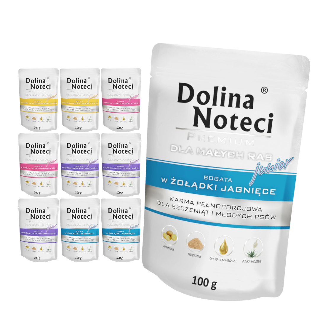 Dolina Noteci Premium mix smaków junior 100 g × 10