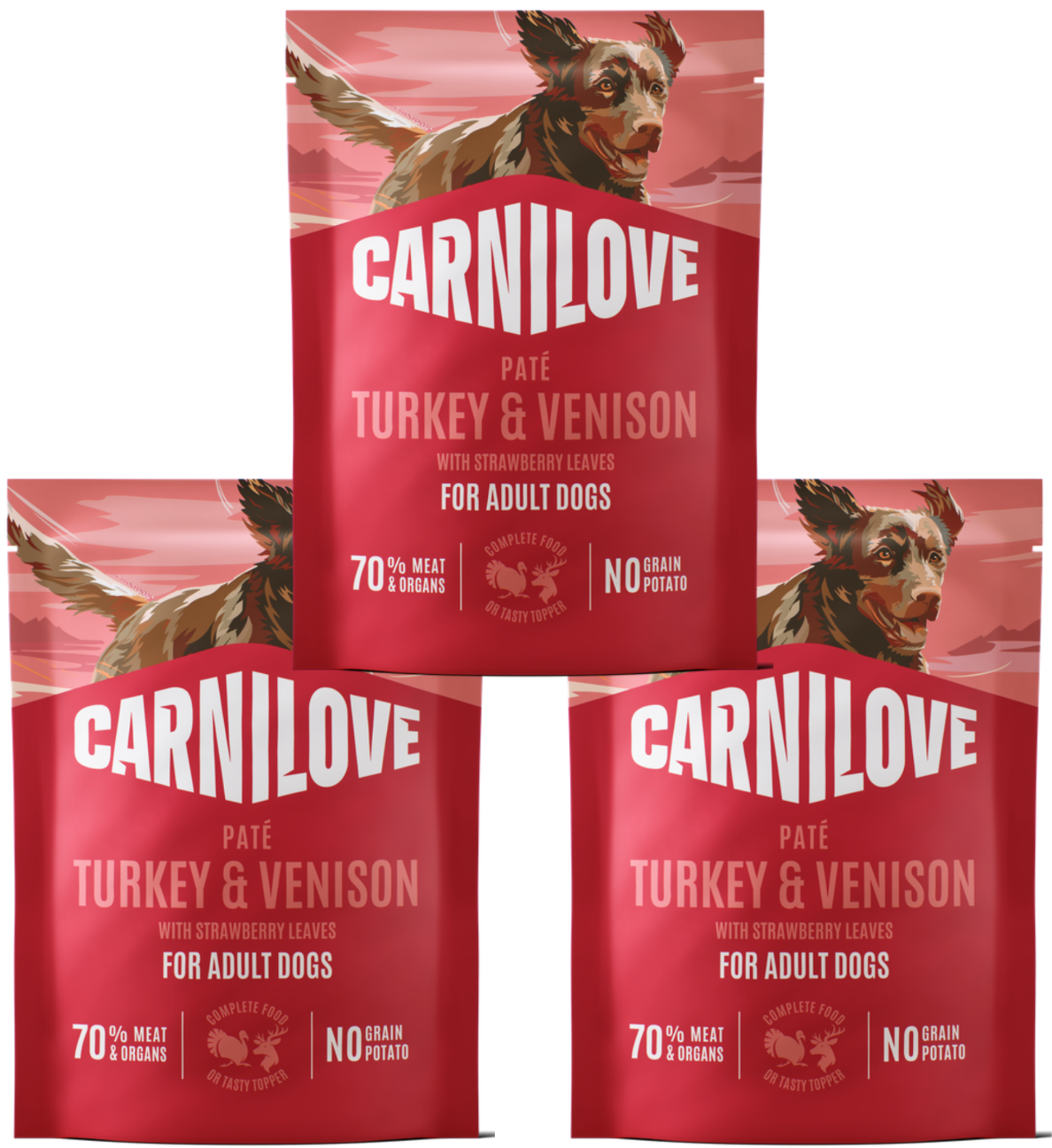 Carnilove dziczyzna, indyk adult 300 g × 3