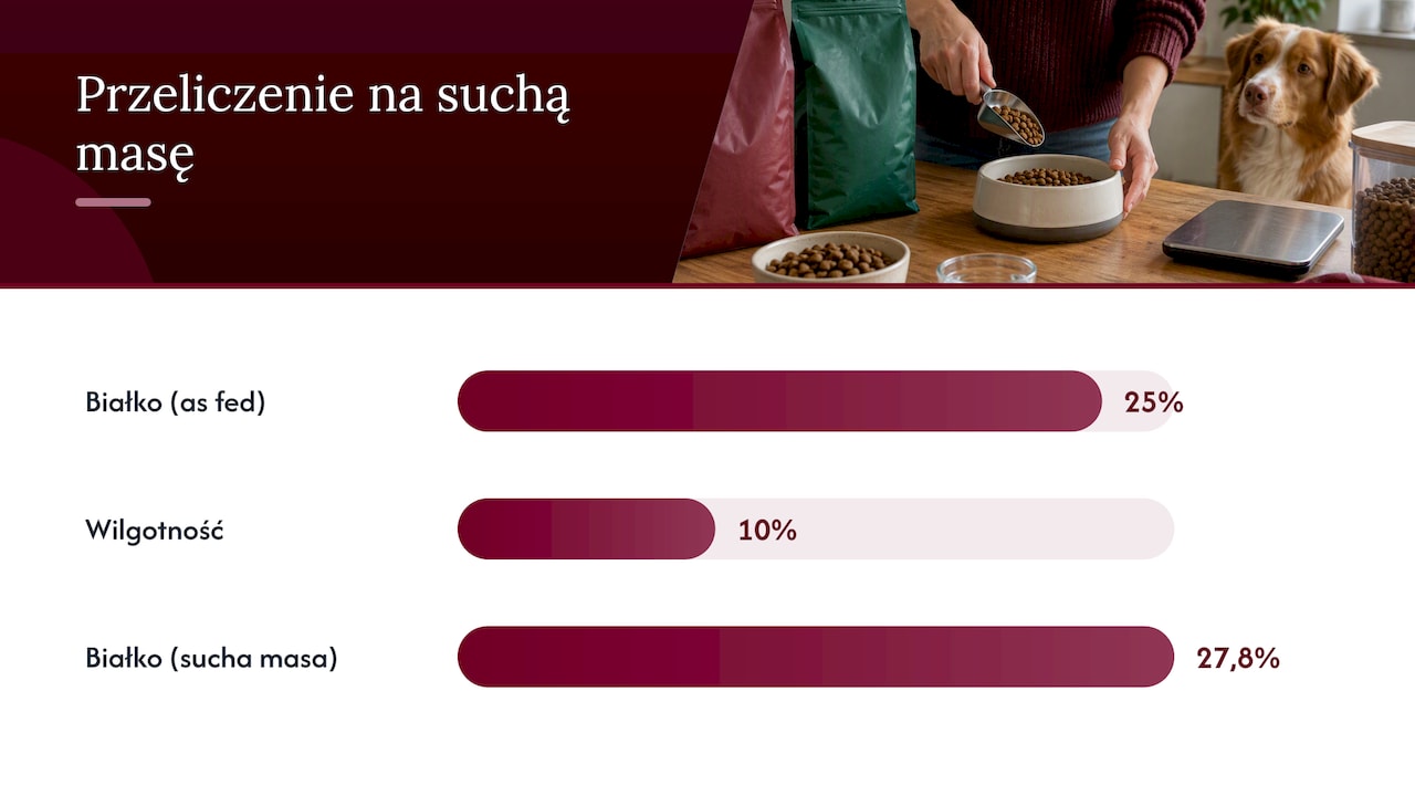Obliczanie zawartości białka w suchej masie