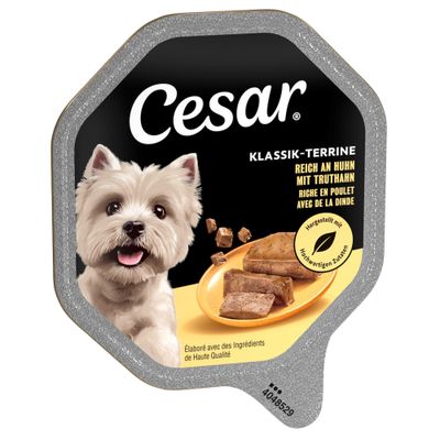 Cesar Classic kurczak, indyk adult 150 g × 14