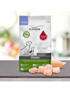 Platinum kurczak puppy 1,5 kg