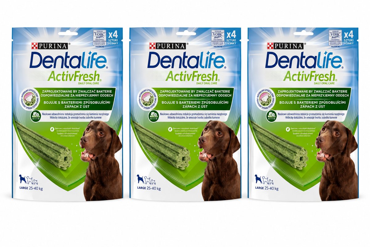 Purina DentaLife wołowina duże rasy 142 g × 3