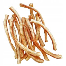 Prozoo kaczka 300 g
