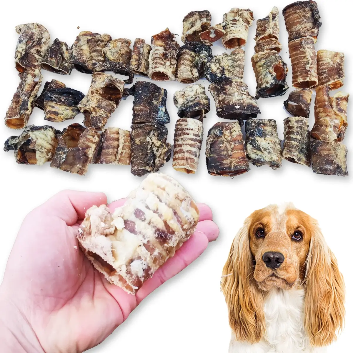 ZooPoint Snacks tchawica wołowa 100 g