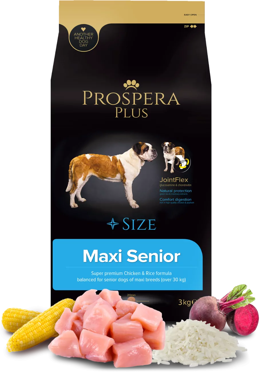 Prospera Plus Maxi senior duże rasy 3 kg