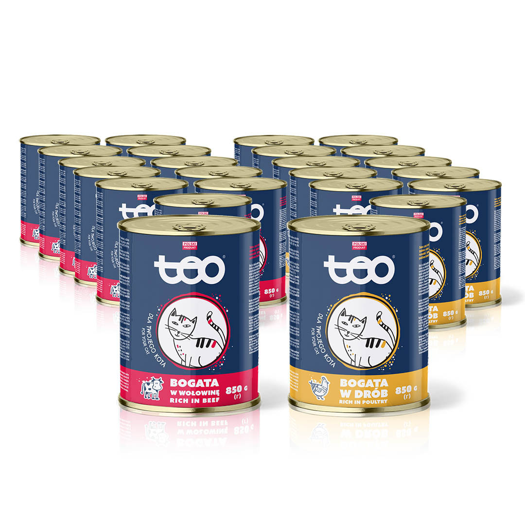 Teo mix smaków w sosie adult 850 g × 24