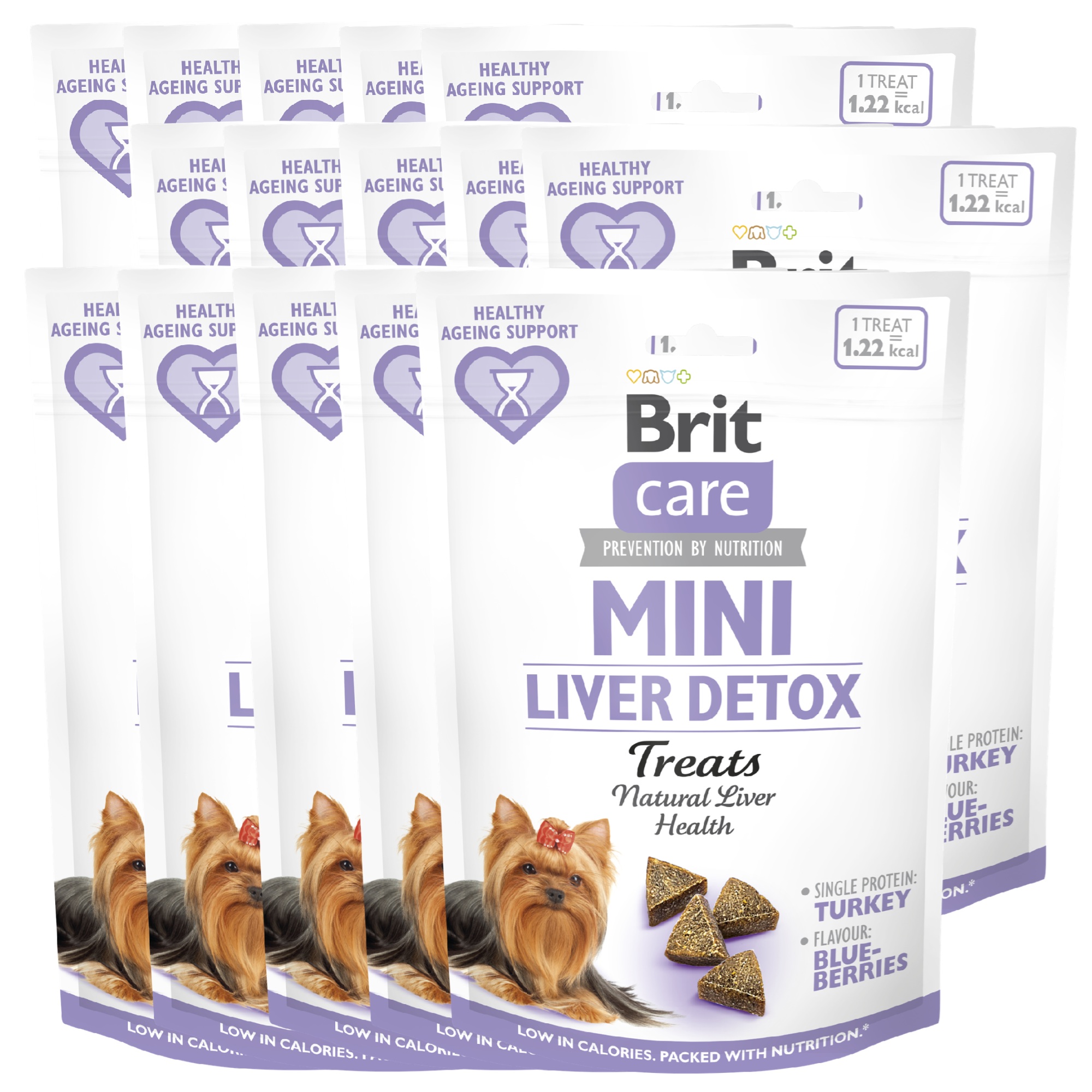 Brit Care indyk adult małe rasy 50 g × 15