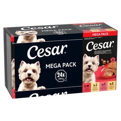 Cesar Classic Terrine indyk, kurczak, wołowina, wątróbka 150 g × 24