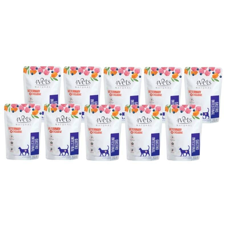 4Vets Natural Digestive 85 g × 10