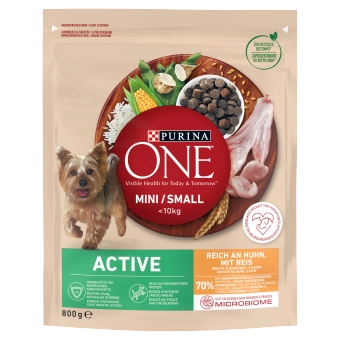 Purina ONE Mini/Small Active kurczak adult małe rasy 800 g