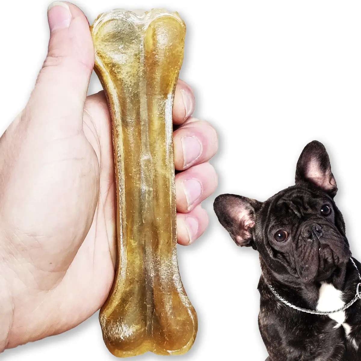 ZooPoint Snacks kość wołowa 15 cm