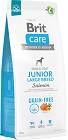 Brit Care łosoś junior duże rasy 12 kg × 2