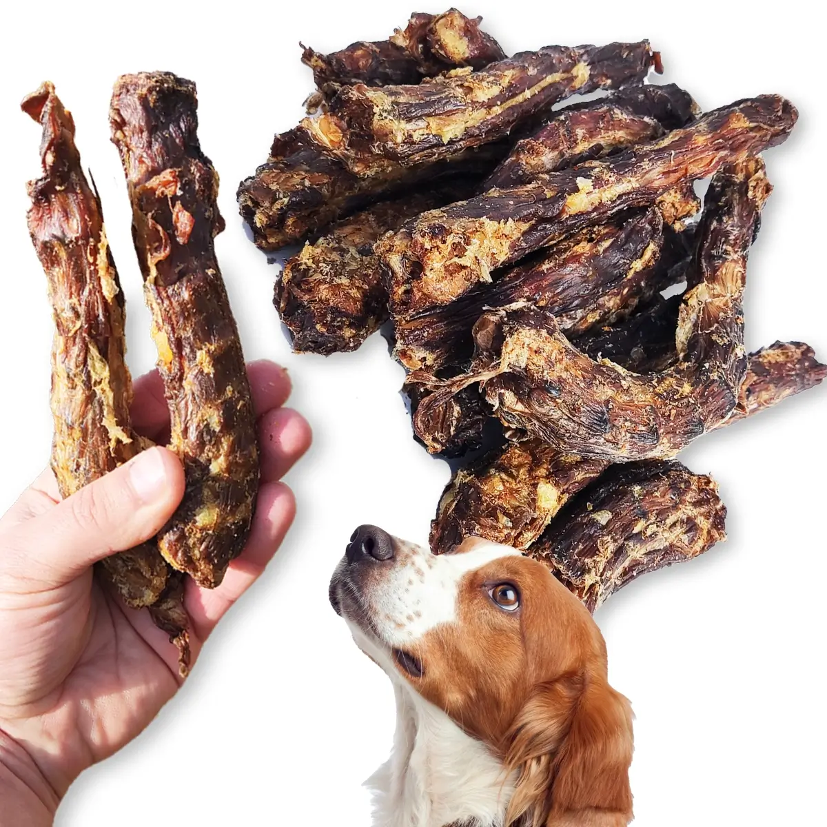 ZooPoint Snacks kurze szyjki 100 g