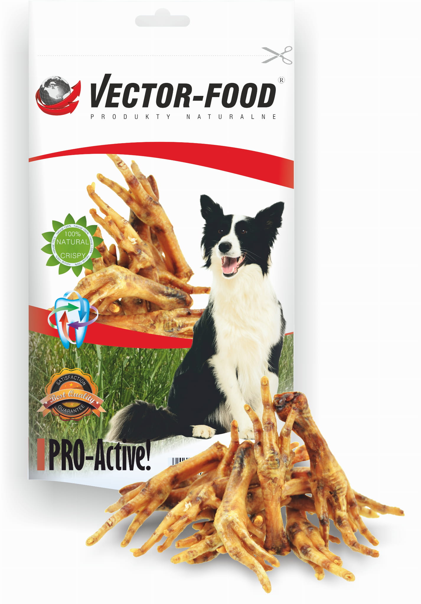 Vector-Food kurczak