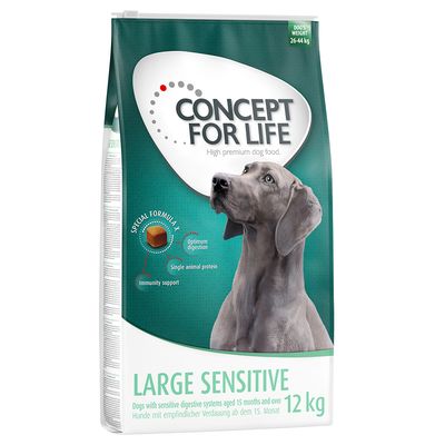 Concept for Life Large Sensitive jagnięcina duże rasy 12 kg × 2