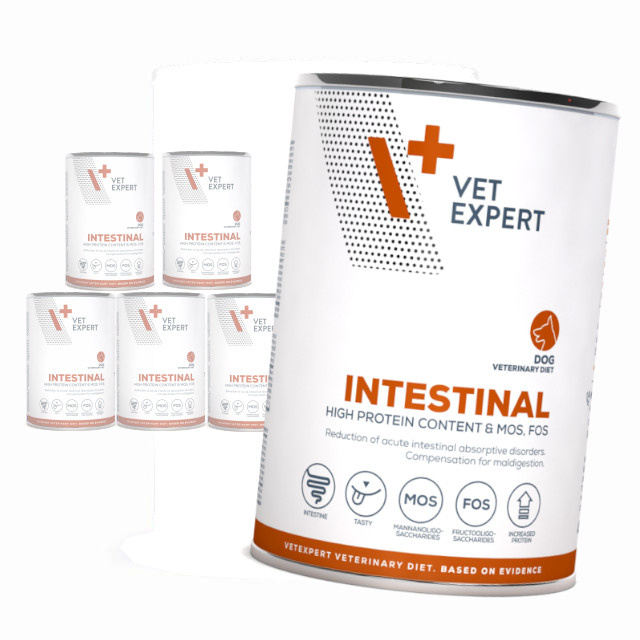 VetExpert Veterinary Diet Intestinal jagnięcina 400 g × 6
