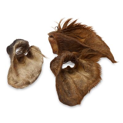 Wolf of Wilderness High Valley cielęcina, wołowina 40 g × 3