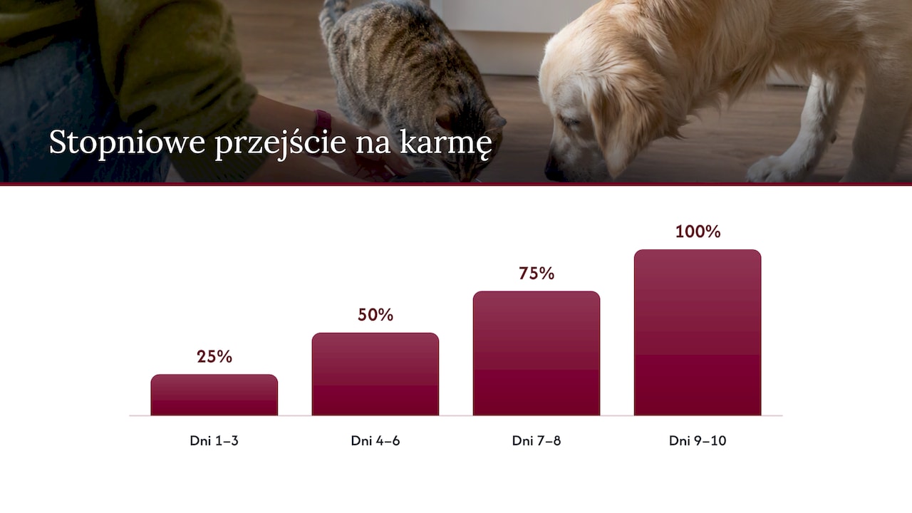 Jak bezpiecznie przejść na inną karmę lub zacząć mieszać — overview diagram