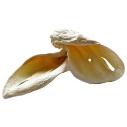 ARAMI wołowina