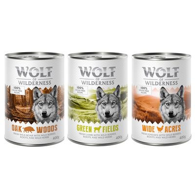 Wolf of Wilderness dzik, jagnięcina, kurczak adult 400 g × 6