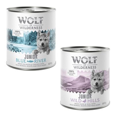 Wolf of Wilderness cielęcina, kaczka, kurczak, łosoś junior 800 g × 24