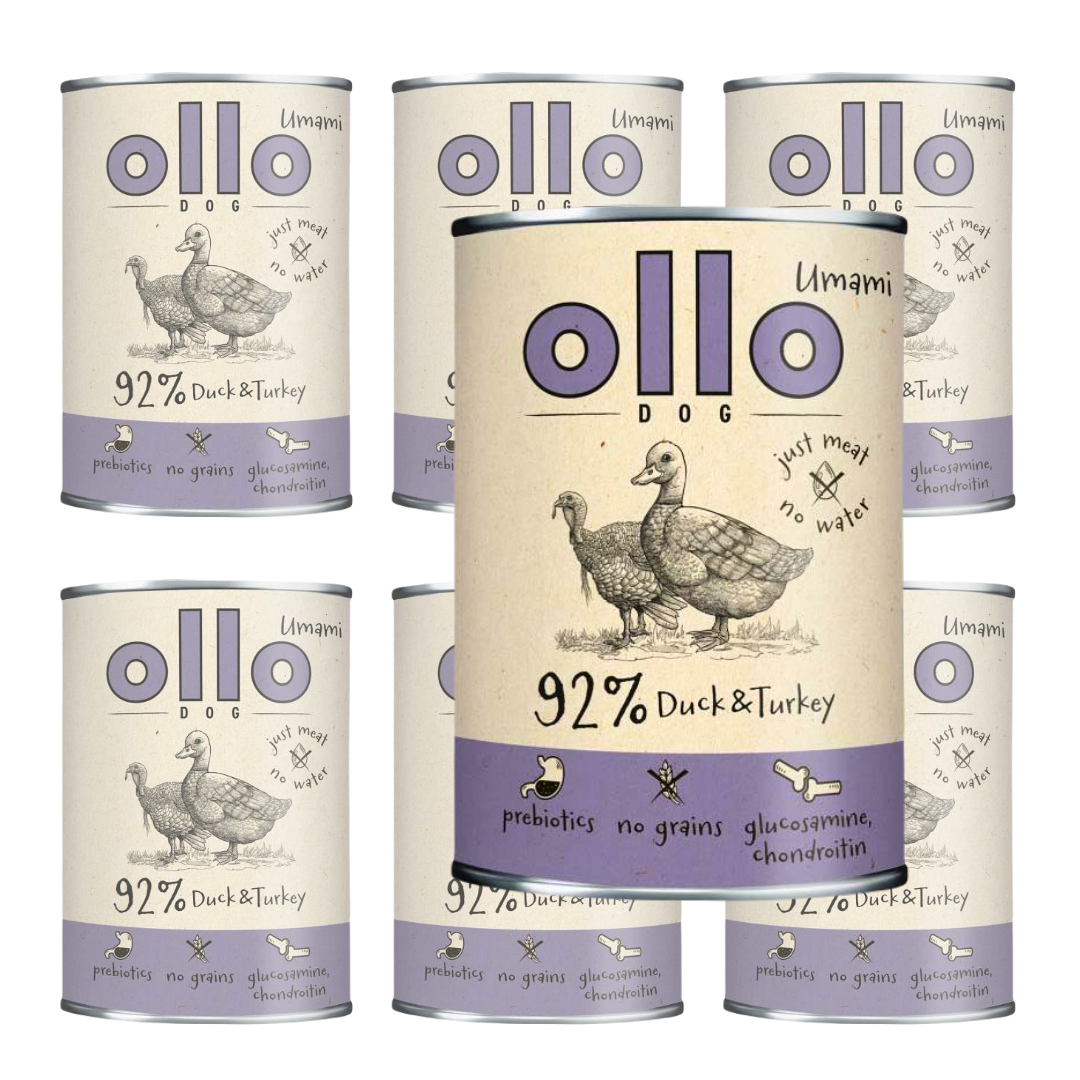 Ollo Umami indyk, kaczka 400 g × 6
