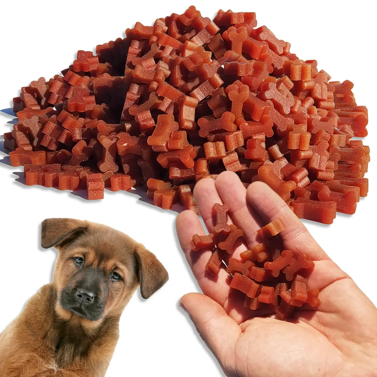 ZooPoint Snacks kaczka małe rasy 500 g